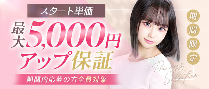 プリンセスセレクション谷九店の求人情報