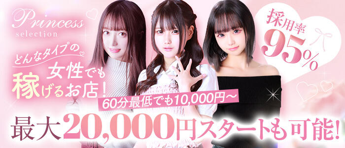 プリンセスセレクション谷九店の求人情報