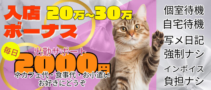 ミセスラウンジ東京の求人情報