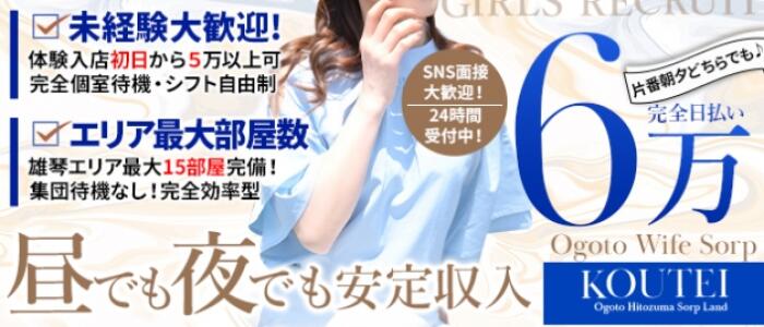 コウテイの求人情報