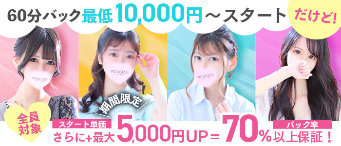 プリンセスセレクション姫路店の求人情報