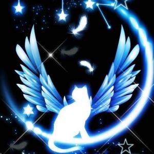 ELYSIUM〜エリシオン