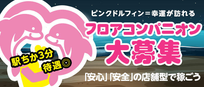 ピンクドルフィンの求人情報
