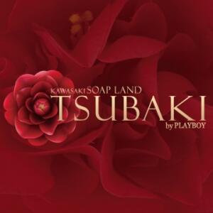 ツバキ by プレイボーイ
