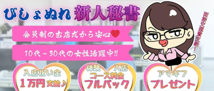 びしょぬれ潮吹秘書の求人情報