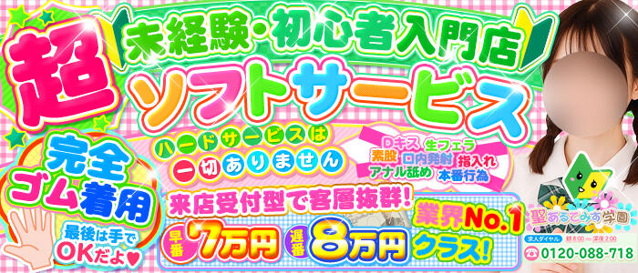 聖あるてみす学園の求人情報